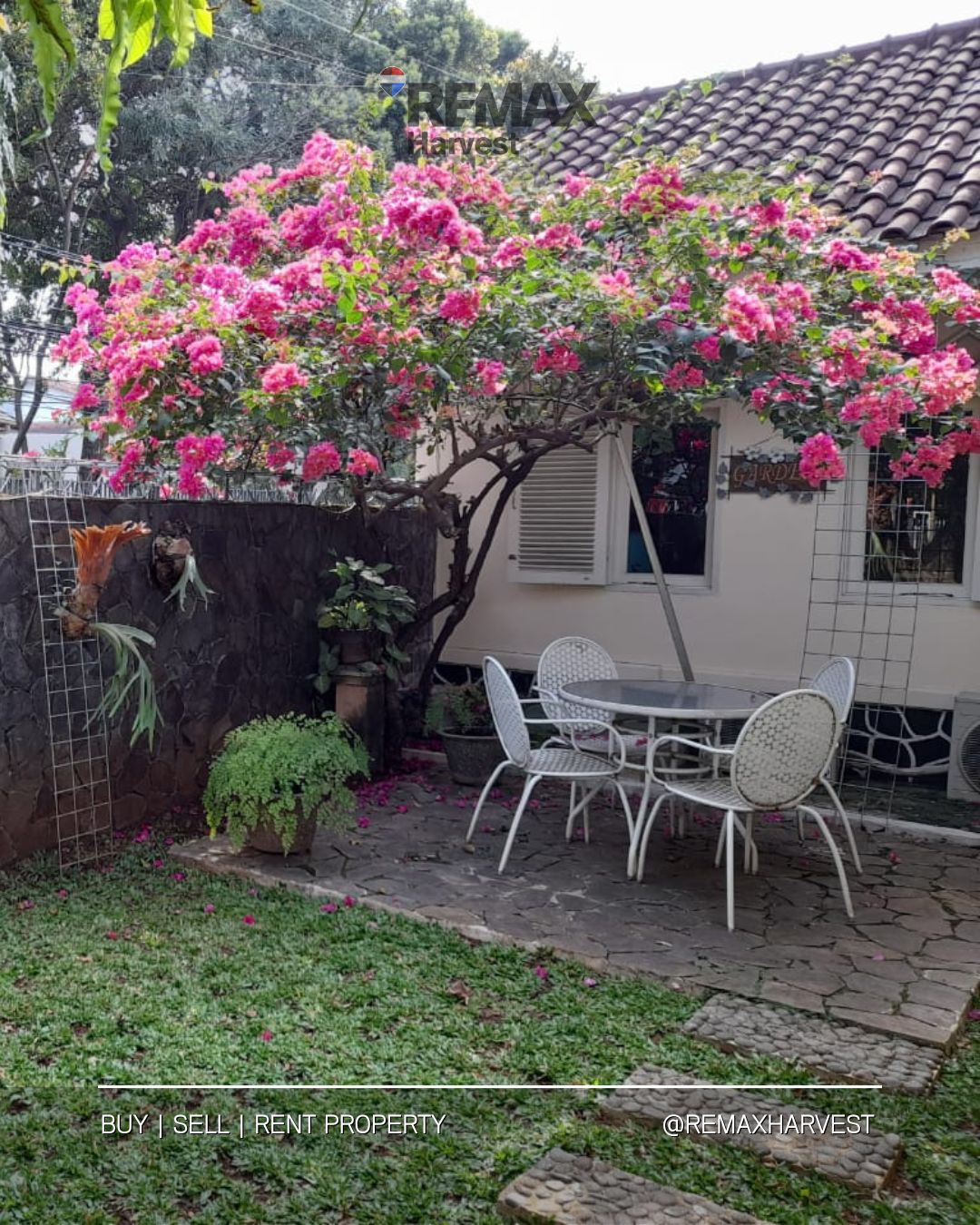 Rumah Asri Halaman Luas Cilandak 2
